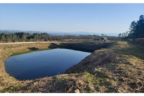 Farm i Viseu, Viseu, Viseu - € 425.000 | Ref: T002 - foto 2