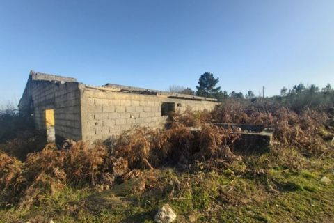 Farm i Viseu, Viseu, Viseu - € 425.000 | Ref: T002 - foto 3