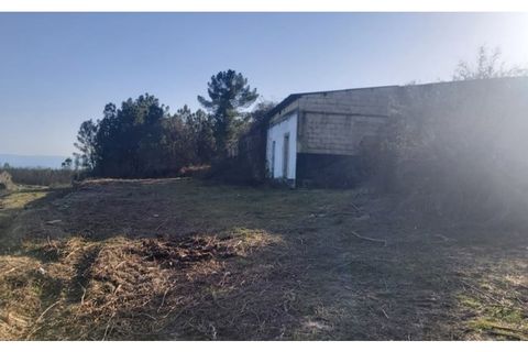 Farm i Viseu, Viseu, Viseu - € 425.000 | Ref: T002 - foto 4
