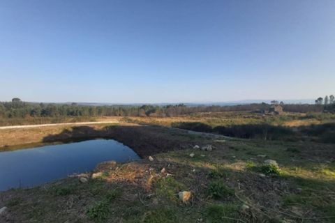 Farm i Viseu, Viseu, Viseu - € 425.000 | Ref: T002 - foto 5