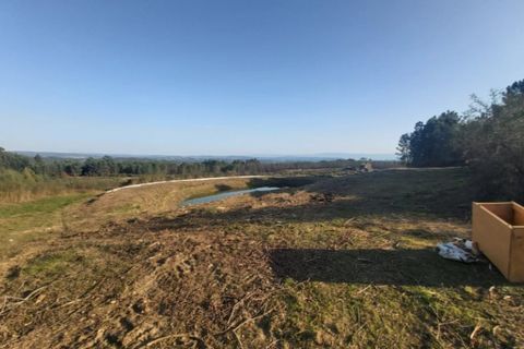Farm i Viseu, Viseu, Viseu - € 425.000 | Ref: T002 - foto 6