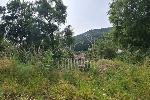 Helårsgrund i Viana do Castelo, Viana do Castelo, Viana do Castelo - € 100.000 | Ref: R5287 - foto 3