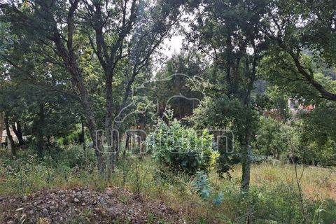 Helårsgrund i Viana do Castelo, Viana do Castelo, Viana do Castelo - € 100.000 | Ref: R5287 - foto 4