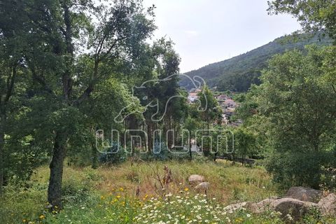 Helårsgrund i Viana do Castelo, Viana do Castelo, Viana do Castelo - € 100.000 | Ref: R5287 - foto 5