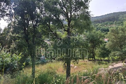 Helårsgrund i Viana do Castelo, Viana do Castelo, Viana do Castelo - € 100.000 | Ref: R5287 - foto 6