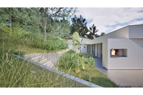 Terra em Outeiro, Viana do Castelo, Outeiro - € 78.000 | Ref: R5463 - foto 2