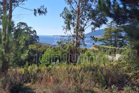 Helårsgrund i Caminha, Viana do Castelo, Caminha - € 134.000 | Ref: R5400 - foto 3