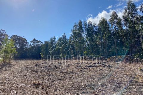 Helårsgrund i Caminha, Viana do Castelo, Caminha - € 120.000 | Ref: R5325 - foto 4