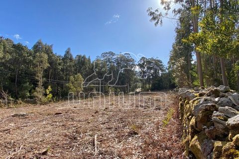 Helårsgrund i Caminha, Viana do Castelo, Caminha - € 120.000 | Ref: R5325 - foto 5