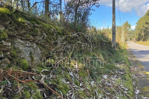 Helårsgrund i Caminha, Viana do Castelo, Caminha - € 120.000 | Ref: R5325 - foto 6
