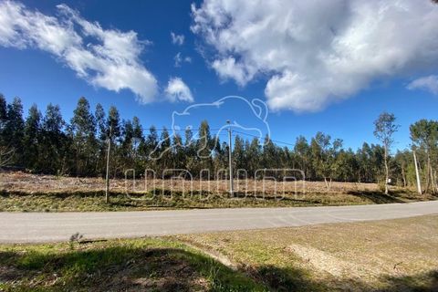 Helårsgrund i Caminha, Viana do Castelo, Caminha - € 120.000 | Ref: R5325 - foto 7