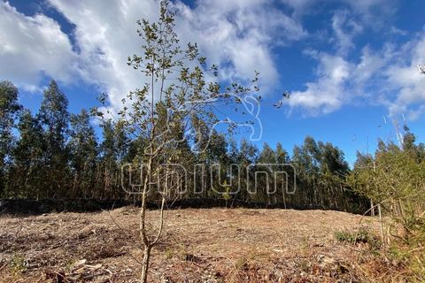 Helårsgrund i Caminha, Viana do Castelo, Caminha - € 120.000 | Ref: R5325 - foto 8