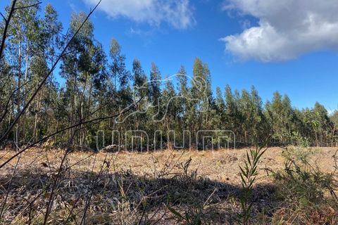 Helårsgrund i Caminha, Viana do Castelo, Caminha - € 120.000 | Ref: R5325 - foto 9