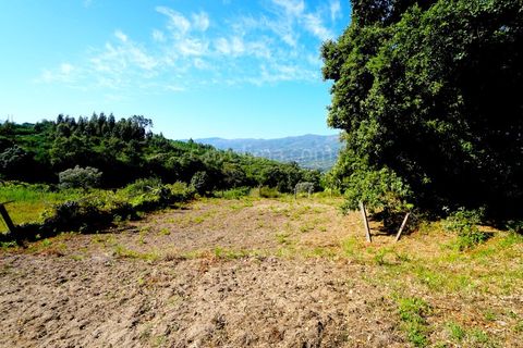 Terra em Ceivaes e Badim, Viana do Castelo, Ceivaes e Badim - € 35.000 | Ref: 3743 - foto 1