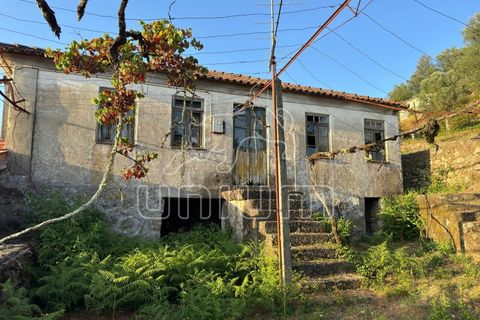 Farm i Arcos de Valdevez, Viana do Castelo, Arcos de Valdevez - € 150.000 | Ref: R5309 - foto 4