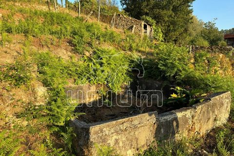 Farm i Arcos de Valdevez, Viana do Castelo, Arcos de Valdevez - € 150.000 | Ref: R5309 - foto 8