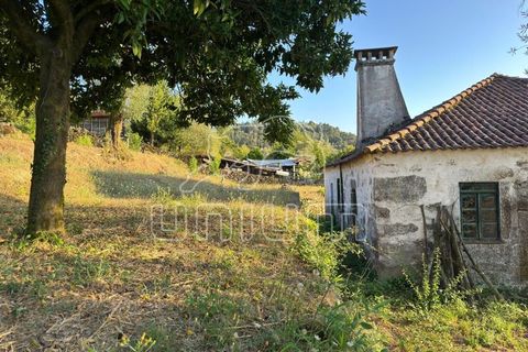 Farm i Arcos de Valdevez, Viana do Castelo, Arcos de Valdevez - € 150.000 | Ref: R5309 - foto 10