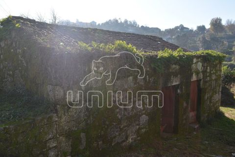 Farm i Arcos de Valdevez, Viana do Castelo, Arcos de Valdevez - € 295.000 | Ref: R3099 - foto 6