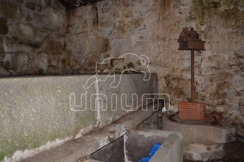 Farm i Arcos de Valdevez, Viana do Castelo, Arcos de Valdevez - € 295.000 | Ref: R3099 - foto 7
