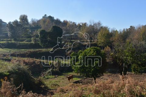 Farm i Arcos de Valdevez, Viana do Castelo, Arcos de Valdevez - € 295.000 | Ref: R3099 - foto 8