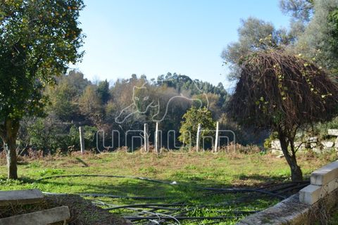 Farm i Arcos de Valdevez, Viana do Castelo, Arcos de Valdevez - € 295.000 | Ref: R3099 - foto 14