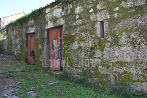 Farm i Arcos de Valdevez, Viana do Castelo, Arcos de Valdevez - € 295.000 | Ref: R3099 - foto 15