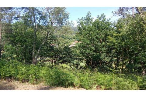 Helårsgrund i Caminha, Viana do Castelo, Caminha - € 67.000 | Ref: C02986 - foto 2