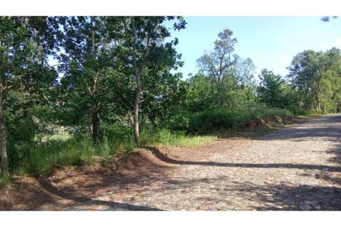 Helårsgrund i Caminha, Viana do Castelo, Caminha - € 67.000 | Ref: C02986 - foto 3