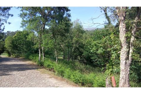 Helårsgrund i Caminha, Viana do Castelo, Caminha - € 67.000 | Ref: C02986 - foto 5