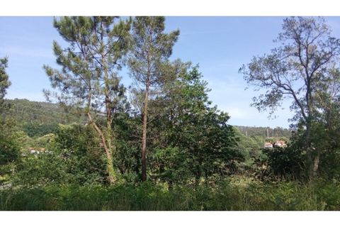 Helårsgrund i Caminha, Viana do Castelo, Caminha - € 67.000 | Ref: C02986 - foto 6
