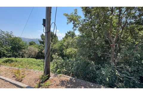 Terra a Baiao, Porto, Baiao - € 57.000 | Ref: MC02822 - foto 4