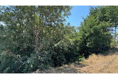 Terra a Baiao, Porto, Baiao - € 57.000 | Ref: MC02822 - foto 5