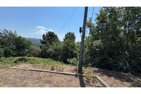 Terra a Baiao, Porto, Baiao - € 57.000 | Ref: MC02822 - foto 6