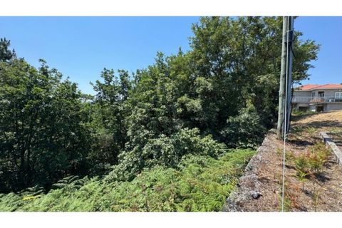 Terra a Baiao, Porto, Baiao - € 57.000 | Ref: MC02822 - foto 8