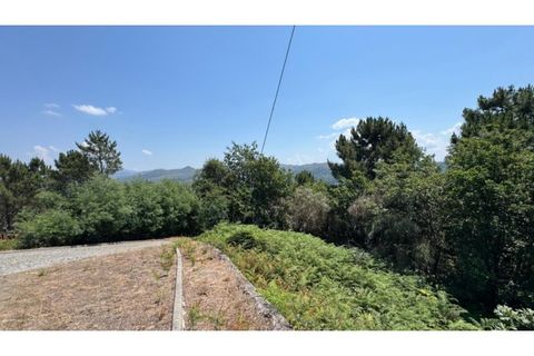 Terra a Baiao, Porto, Baiao - € 57.000 | Ref: MC02822 - foto 9