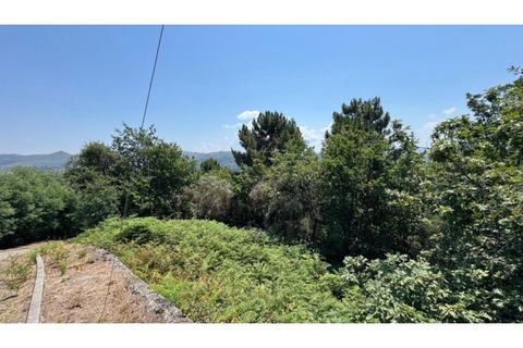 Terra a Baiao, Porto, Baiao - € 57.000 | Ref: MC02822 - foto 10