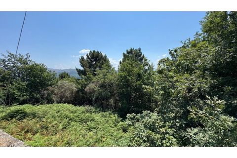 Terra a Baiao, Porto, Baiao - € 57.000 | Ref: MC02822 - foto 11