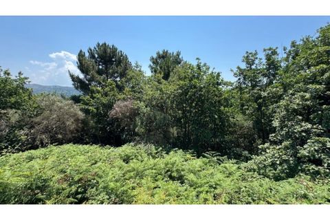 Terra a Baiao, Porto, Baiao - € 57.000 | Ref: MC02822 - foto 12