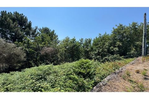 Terra a Baiao, Porto, Baiao - € 57.000 | Ref: MC02822 - foto 13
