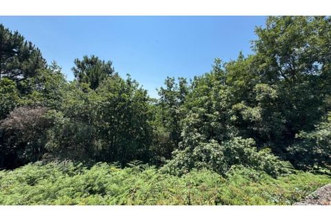 Terra a Baiao, Porto, Baiao - € 57.000 | Ref: MC02822 - foto 14