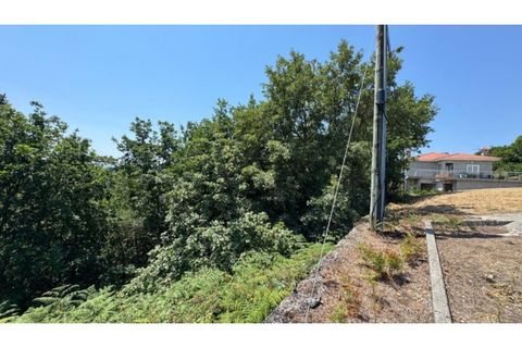 Terra a Baiao, Porto, Baiao - € 57.000 | Ref: MC02822 - foto 15