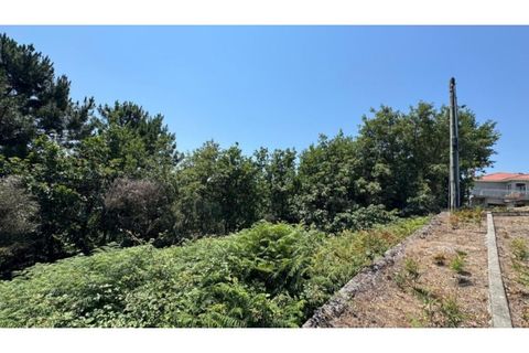 Terra a Baiao, Porto, Baiao - € 57.000 | Ref: MC02822 - foto 16