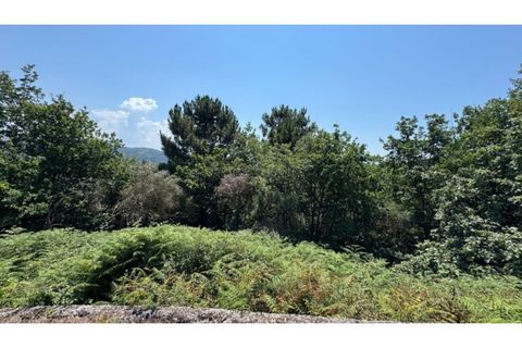 Terra a Baiao, Porto, Baiao - € 57.000 | Ref: MC02822 - foto 18