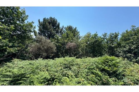 Terra a Baiao, Porto, Baiao - € 57.000 | Ref: MC02822 - foto 19