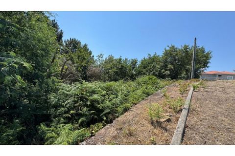 Terra a Baiao, Porto, Baiao - € 57.000 | Ref: MC02822 - foto 20