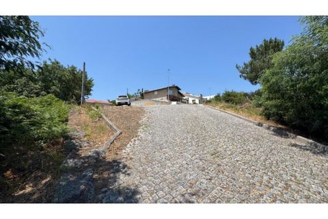 Terra a Baiao, Porto, Baiao - € 57.000 | Ref: MC02822 - foto 21