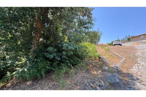 Terra a Baiao, Porto, Baiao - € 57.000 | Ref: MC02822 - foto 22