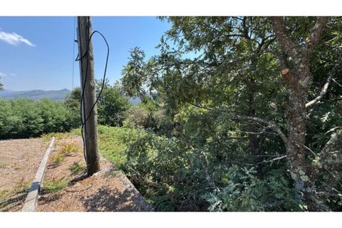 Terra a Baiao, Porto, Baiao - € 57.000 | Ref: MC02822 - foto 24