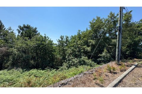 Terra a Baiao, Porto, Baiao - € 57.000 | Ref: MC02822 - foto 26