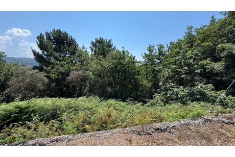 Terra a Baiao, Porto, Baiao - € 57.000 | Ref: MC02822 - foto 27
